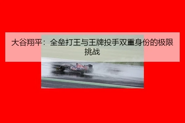 da-gu-xiang-ping-quan-lei-da-wang-yu-wang-pai-tou-shou-shuang-chong-shen-fen-de-ji-xian-tiao-zhan-3-635.jpg