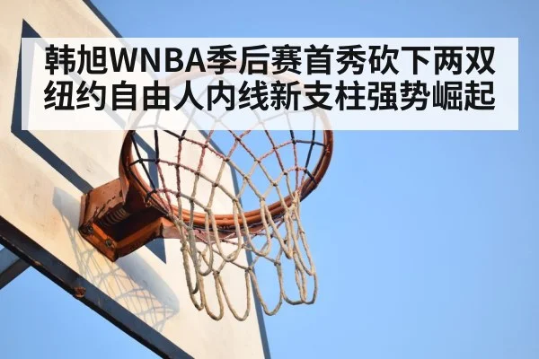 basketball rebound close up